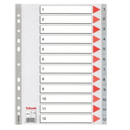 Separatore numerico 1/12 PPL A4 22,5x29,7 cm grigio Esselte