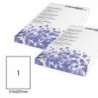 Etichette adesive in carta permanenti 210 x 297 mm 1 et/fg 100 fogli bianco Starline
